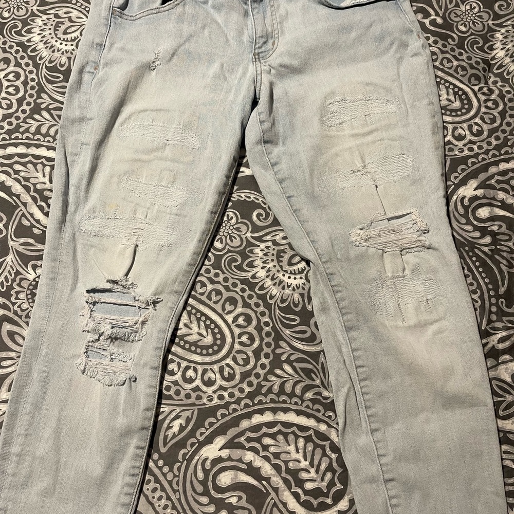 American eagle - Picture 3 of 5